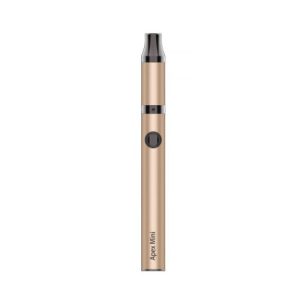 Champagne Gold
