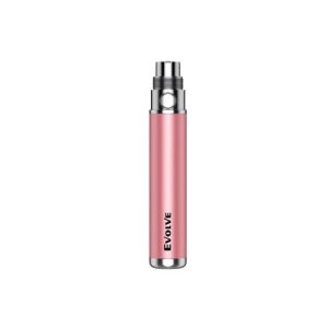 Sakura Pink 2020
